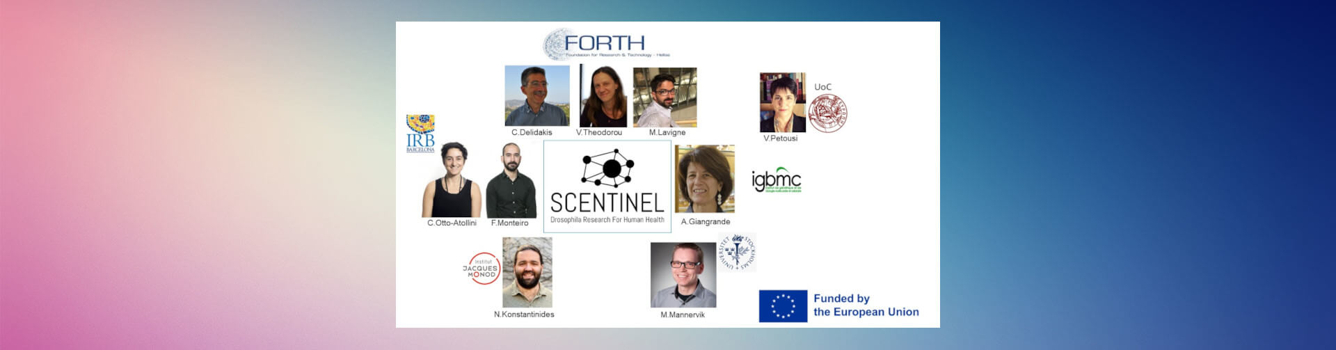 Slide 2